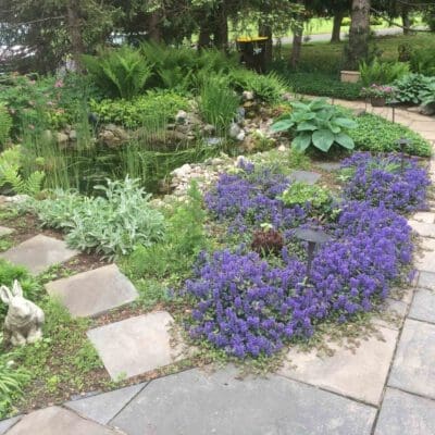 Doylestown, PA Landscaping Services Company