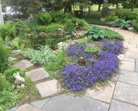 Doylestown, PA Landscaping Services Company