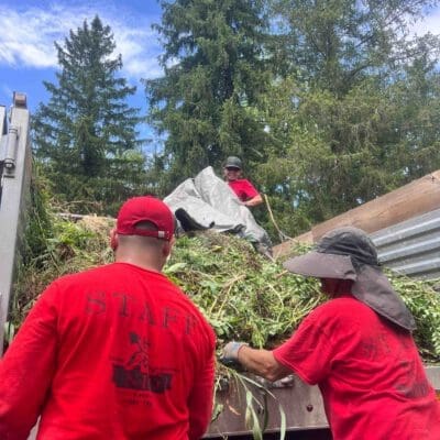 Doylestown, PA Landscape Maintenance Services