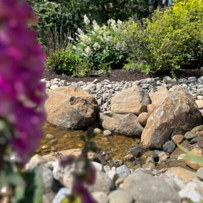 Doylestown, PA Landscape Installation Services