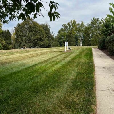 Commercial Review Image