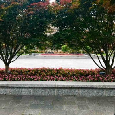 Doylestown, PA Landscape Maintenance Services