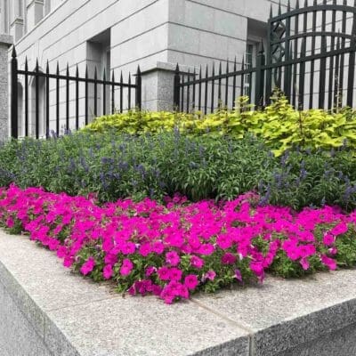 Doylestown, PA Landscaping Services Company