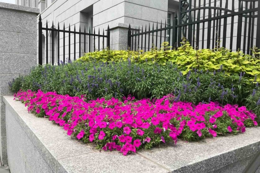 Doylestown, PA Landscaping Services Company