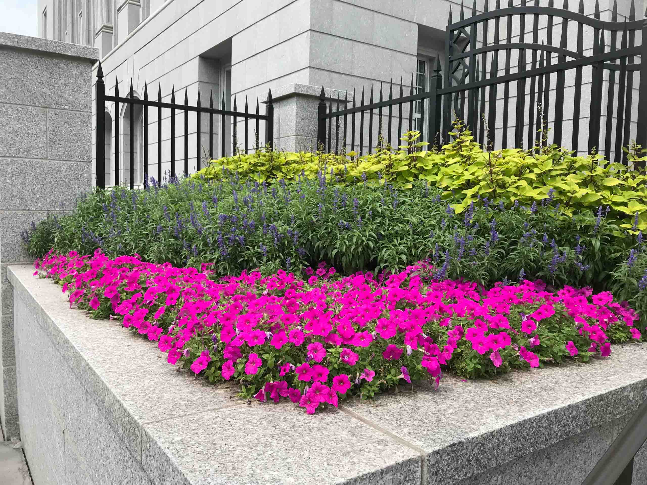 Doylestown, PA Landscaping Services Company