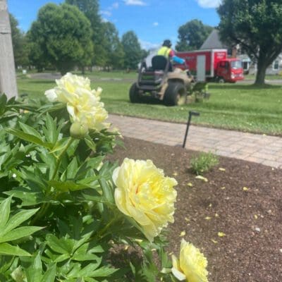 Doylestown, PA Landscape Maintenance Services