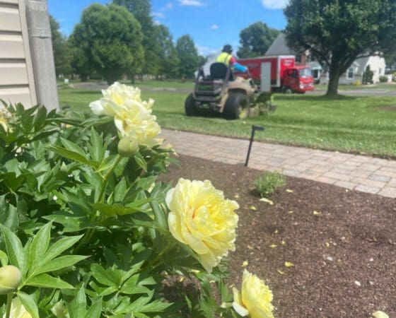 Doylestown, PA Landscape Maintenance Services