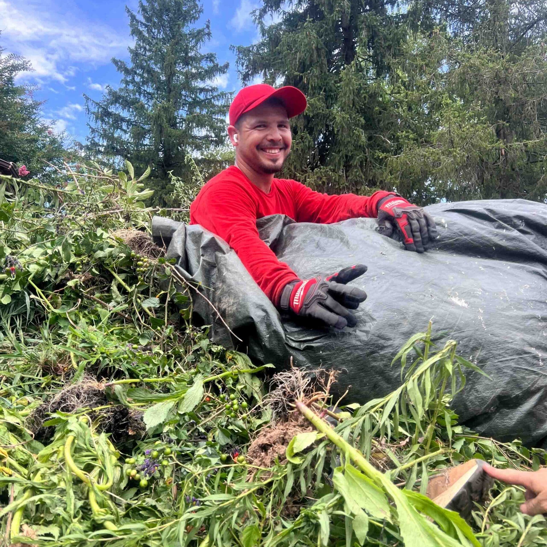 Doylestown, PA Landscape Maintenance Services