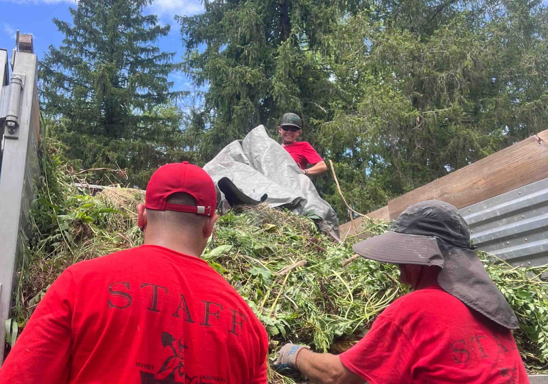 Doylestown, PA Landscape Maintenance Services